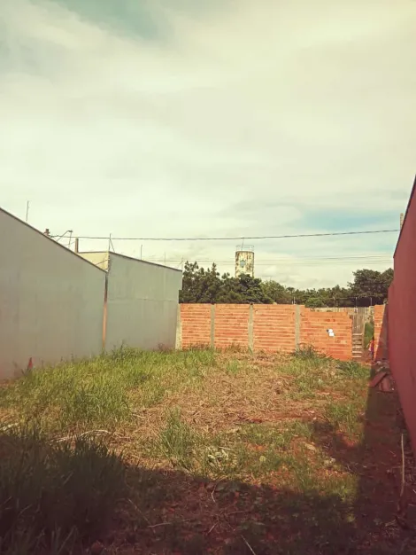 imagem 1 - Terreno de 200m² para venda - Jardim São Lucas imagem 1 - Terreno de 200m² para venda - Jardim São Lucas
