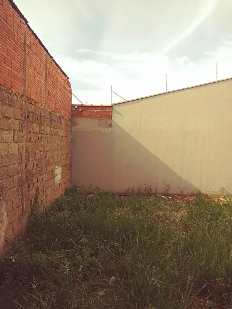 imagem 5 - Terreno de 200m² para venda - Jardim São Lucas imagem 5 - Terreno de 200m² para venda - Jardim São Lucas