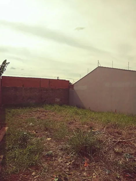 imagem 3 - Terreno de 200m² para venda - Jardim São Lucas imagem 3 - Terreno de 200m² para venda - Jardim São Lucas