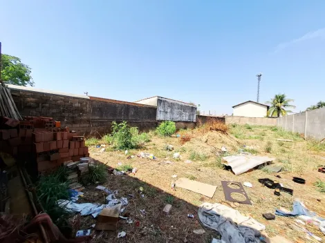 imagem 5 - Terreno com 544m² para locação e venda - Jardim Zara imagem 5 - Terreno com 544m² para locação e venda - Jardim Zara