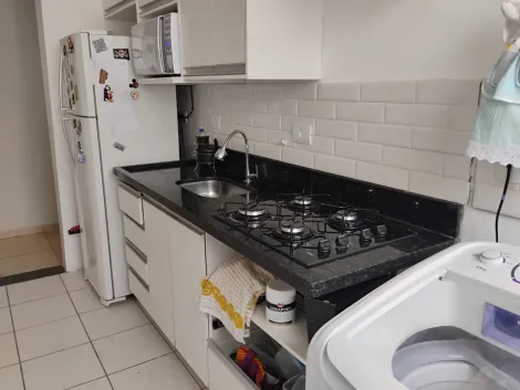 imagem 4 - Apartamento de 46m² com 02 quartos à venda - Jardim Castelo Branco imagem 4 - Apartamento de 46m² com 02 quartos à venda - Jardim Castelo Branco