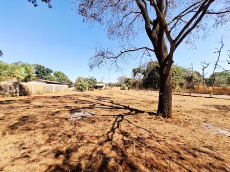 imagem 3 - Terreno de 2,000m² para locação e venda - Jardim Vilico Cantarelli imagem 3 - Terreno de 2,000m² para locação e venda - Jardim Vilico Cantarelli