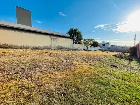 imagem 5 - Terreno de 362² em condomínio à venda - Bonfim Paulista imagem 5 - Terreno de 362² em condomínio à venda - Bonfim Paulista