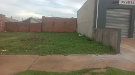 imagem 1 - Terreno de 160m² à venda - Jardim Cristo Redentor imagem 1 - Terreno de 160m² à venda - Jardim Cristo Redentor