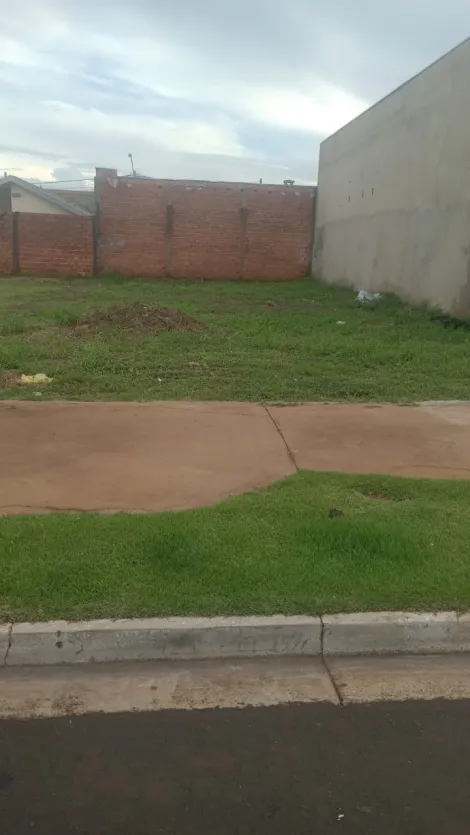 imagem 2 - Terreno de 160m² à venda - Jardim Cristo Redentor imagem 2 - Terreno de 160m² à venda - Jardim Cristo Redentor