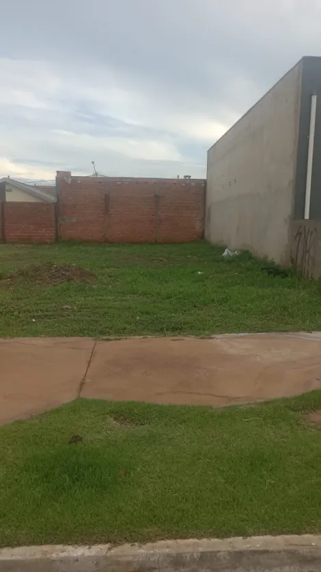 imagem 3 - Terreno de 160m² à venda - Jardim Cristo Redentor imagem 3 - Terreno de 160m² à venda - Jardim Cristo Redentor