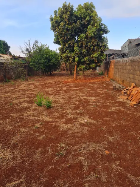 imagem 3 - Terreno de 480m² para venda - Ipiranga imagem 3 - Terreno de 480m² para venda - Ipiranga