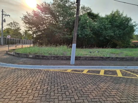imagem 1 - Terreno para venda no Condomínio Vista Alegre, com 1.100 m,² próximo a Rodovia Antônio Duarte Nogueira, Ribeirão Shopping e Agrishow. imagem 1 - Terreno para venda no Condomínio Vista Alegre, com 1.100 m,² próximo a Rodovia Antônio Duarte Nogueira, Ribeirão Shopping e Agrishow.