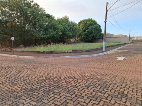 imagem 2 - Terreno para venda no Condomínio Vista Alegre, com 1.100 m,² próximo a Rodovia Antônio Duarte Nogueira, Ribeirão Shopping e Agrishow. imagem 2 - Terreno para venda no Condomínio Vista Alegre, com 1.100 m,² próximo a Rodovia Antônio Duarte Nogueira, Ribeirão Shopping e Agrishow.