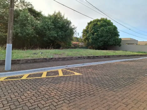 imagem 3 - Terreno para venda no Condomínio Vista Alegre, com 1.100 m,² próximo a Rodovia Antônio Duarte Nogueira, Ribeirão Shopping e Agrishow. imagem 3 - Terreno para venda no Condomínio Vista Alegre, com 1.100 m,² próximo a Rodovia Antônio Duarte Nogueira, Ribeirão Shopping e Agrishow.
