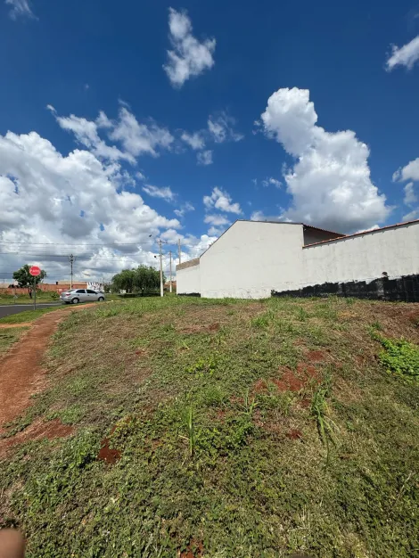 imagem 2 - Terreno de 213m² para locação e venda - Jardim Cristo Redentor imagem 2 - Terreno de 213m² para locação e venda - Jardim Cristo Redentor