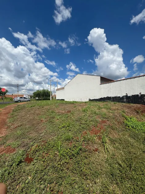 imagem 3 - Terreno de 213m² para locação e venda - Jardim Cristo Redentor imagem 3 - Terreno de 213m² para locação e venda - Jardim Cristo Redentor
