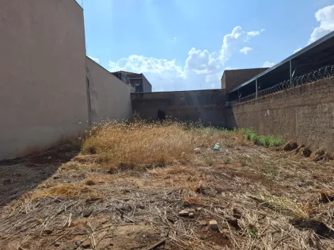 imagem 1 - Terreno de 250m² à venda - Jardim América imagem 1 - Terreno de 250m² à venda - Jardim América