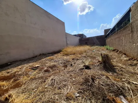 imagem 2 - Terreno de 250m² à venda - Jardim América imagem 2 - Terreno de 250m² à venda - Jardim América