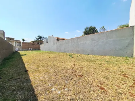 imagem 3 - Terreno residencial de 300m² plano para locação e venda - Jardim Califórnia imagem 3 - Terreno residencial de 300m² plano para locação e venda - Jardim Califórnia