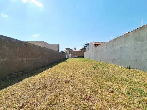 imagem 4 - Terreno residencial de 300m² plano para locação e venda - Jardim Califórnia imagem 4 - Terreno residencial de 300m² plano para locação e venda - Jardim Califórnia