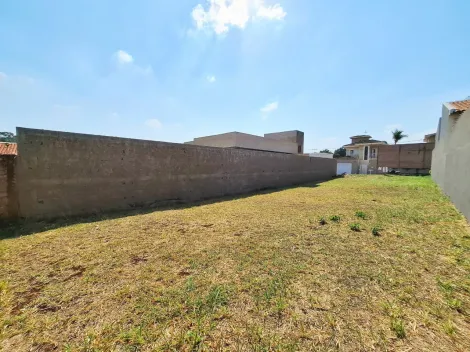 imagem 5 - Terreno residencial de 300m² plano para locação e venda - Jardim Califórnia imagem 5 - Terreno residencial de 300m² plano para locação e venda - Jardim Califórnia