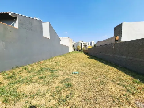 imagem 1 - Terreno residencial de 300m² plano para locação e venda - Jardim Califórnia imagem 1 - Terreno residencial de 300m² plano para locação e venda - Jardim Califórnia