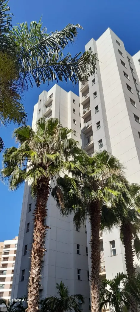 imagem 1 - Apartamento de 81m² com 03 quartos sendo 01 suíte para Venda - Jardim Nova Aliança Sul imagem 1 - Apartamento de 81m² com 03 quartos sendo 01 suíte para Venda - Jardim Nova Aliança Sul
