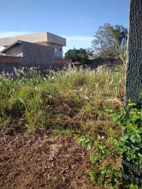 imagem 5 - Terreno em condomínio de 430m² á venda - Jardim Salgado Filho imagem 5 - Terreno em condomínio de 430m² á venda - Jardim Salgado Filho