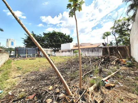 imagem 5 - Terreno de uso misto com 600m² para locação e venda - Jardim Canadá imagem 5 - Terreno de uso misto com 600m² para locação e venda - Jardim Canadá