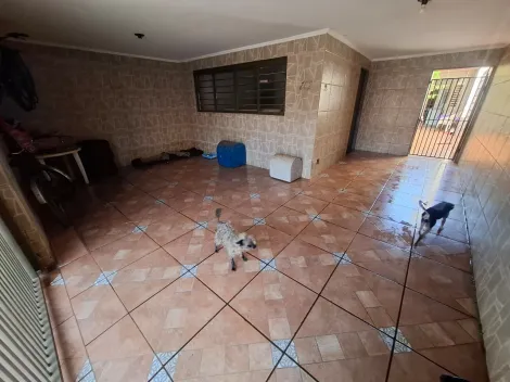imagem 2 - Casa de 115m² com 03 quartos para locação e venda - Ipiranga imagem 2 - Casa de 115m² com 03 quartos para locação e venda - Ipiranga