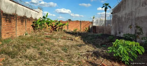 imagem 2 - Terreno de 250m² à venda - Planalto Verde imagem 2 - Terreno de 250m² à venda - Planalto Verde