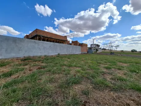 imagem 5 - Terreno de 308m² amplo à venda em condominio - Alto do Castelo imagem 5 - Terreno de 308m² amplo à venda em condominio - Alto do Castelo