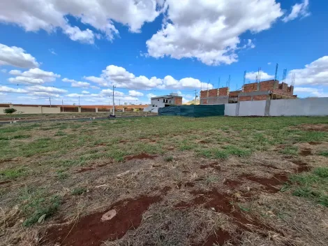 imagem 5 - Terreno de 308m² amplo à venda em condominio - Alto do Castelo imagem 5 - Terreno de 308m² amplo à venda em condominio - Alto do Castelo