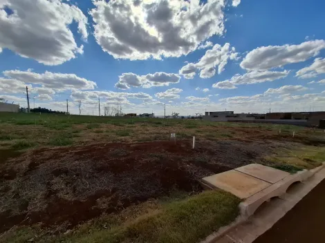 imagem 3 - Terreno de 308m² amplo à venda em condominio - Alto do Castelo imagem 3 - Terreno de 308m² amplo à venda em condominio - Alto do Castelo