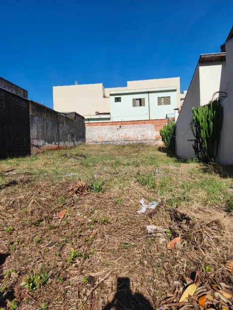 imagem 2 - Terreno de 250m² para venda - Parque dos Bandeirantes imagem 2 - Terreno de 250m² para venda - Parque dos Bandeirantes