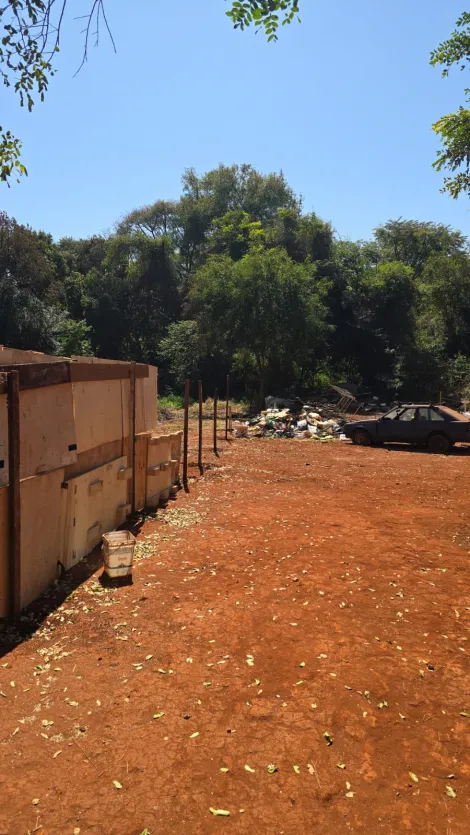 imagem 2 - Terreno de 5375m² à venda - Jardim Paulistano imagem 2 - Terreno de 5375m² à venda - Jardim Paulistano