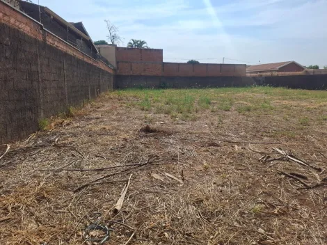 imagem 1 - Terreno de 506m² para locação - City Ribeirão imagem 1 - Terreno de 506m² para locação - City Ribeirão