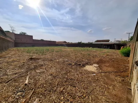 imagem 2 - Terreno de 506m² para locação - City Ribeirão imagem 2 - Terreno de 506m² para locação - City Ribeirão