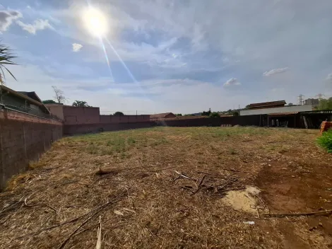 imagem 3 - Terreno de 506m² para locação - City Ribeirão imagem 3 - Terreno de 506m² para locação - City Ribeirão
