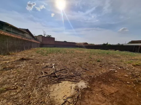 imagem 4 - Terreno de 506m² para locação - City Ribeirão imagem 4 - Terreno de 506m² para locação - City Ribeirão