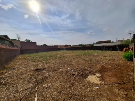 imagem 5 - Terreno de 506m² para locação - City Ribeirão imagem 5 - Terreno de 506m² para locação - City Ribeirão