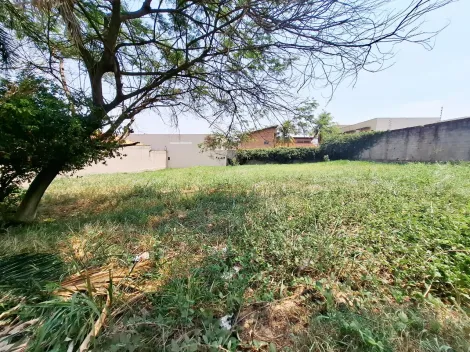 imagem 1 - Terreno de 532m² à venda - Alto da Boa vista imagem 1 - Terreno de 532m² à venda - Alto da Boa vista