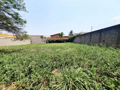 imagem 3 - Terreno de 532m² à venda - Alto da Boa vista imagem 3 - Terreno de 532m² à venda - Alto da Boa vista