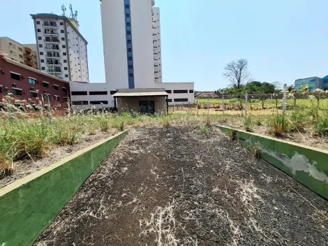 imagem 1 - Terreno de 296m² para locação - City Ribeirão imagem 1 - Terreno de 296m² para locação - City Ribeirão