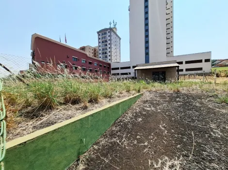 imagem 2 - Terreno de 296m² para locação - City Ribeirão imagem 2 - Terreno de 296m² para locação - City Ribeirão