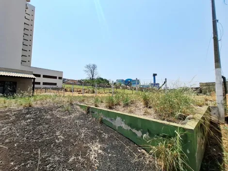 imagem 3 - Terreno de 296m² para locação - City Ribeirão imagem 3 - Terreno de 296m² para locação - City Ribeirão