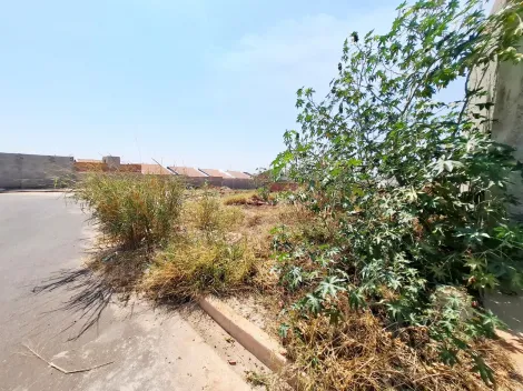 imagem 4 - Terreno de 195m² com espaço amplo à venda - Jardim Regatas imagem 4 - Terreno de 195m² com espaço amplo à venda - Jardim Regatas