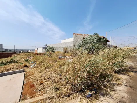 imagem 1 - Terreno de 195m² com espaço amplo à venda - Jardim Regatas imagem 1 - Terreno de 195m² com espaço amplo à venda - Jardim Regatas