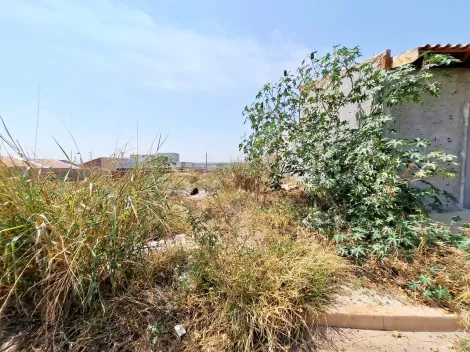 imagem 2 - Terreno de 195m² com espaço amplo à venda - Jardim Regatas imagem 2 - Terreno de 195m² com espaço amplo à venda - Jardim Regatas