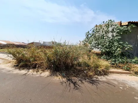imagem 3 - Terreno de 195m² com espaço amplo à venda - Jardim Regatas imagem 3 - Terreno de 195m² com espaço amplo à venda - Jardim Regatas