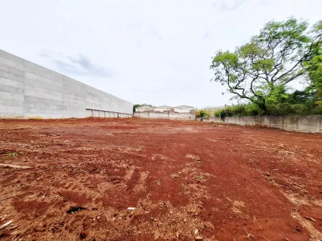 imagem 2 - Terreno de 5.000m² para locação e venda - Parque Industrial Lagoinha imagem 2 - Terreno de 5.000m² para locação e venda - Parque Industrial Lagoinha
