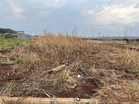 imagem 1 - Terreno de 315m² com espaço amplo à venda - Fazenda Santa Rita do Picadão imagem 1 - Terreno de 315m² com espaço amplo à venda - Fazenda Santa Rita do Picadão