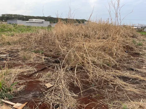 imagem 4 - Terreno de 315m² com espaço amplo à venda - Fazenda Santa Rita do Picadão imagem 4 - Terreno de 315m² com espaço amplo à venda - Fazenda Santa Rita do Picadão