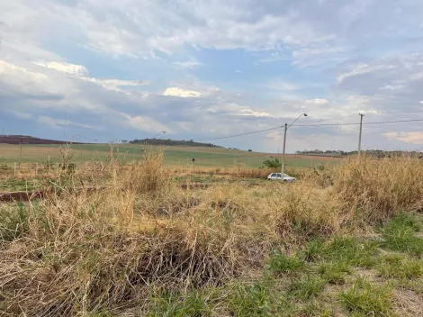 imagem 2 - Terreno de 315m² com espaço amplo à venda - Fazenda Santa Rita do Picadão imagem 2 - Terreno de 315m² com espaço amplo à venda - Fazenda Santa Rita do Picadão